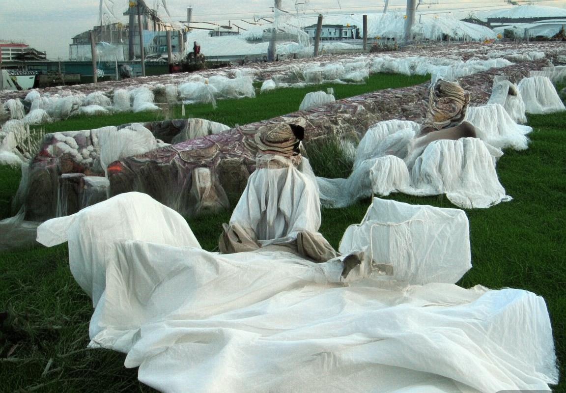 新一代前锋潮流：弗拉霍维奇引领足球未来展望与挑战